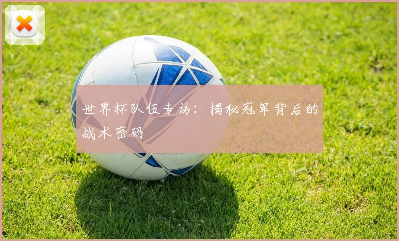 世界杯队伍专访：揭秘冠军背后的战术密码
