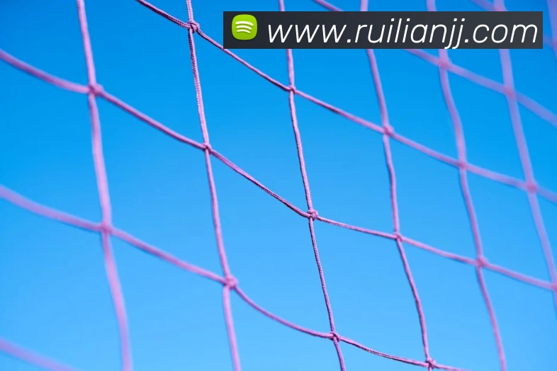 mksports官网APP 封面图